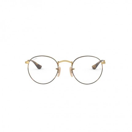 Ray-Ban  RX3447V