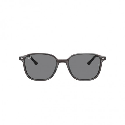 Ray-Ban RB2193