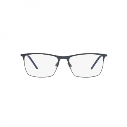 Dolce & Gabbana  DG1309