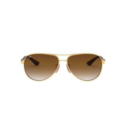 Ray-Ban  RB8313