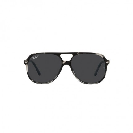 Ray-Ban RB2198