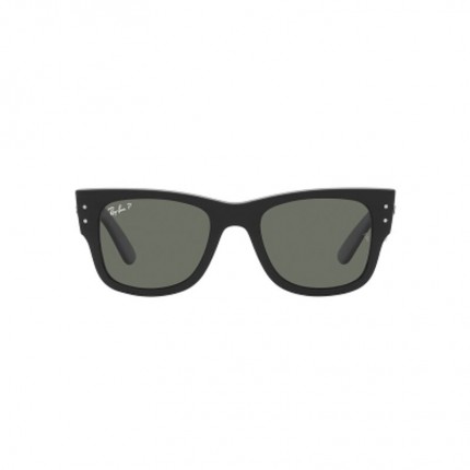 Ray-Ban RB0840S