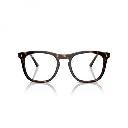 Ray-Ban  RX2210V